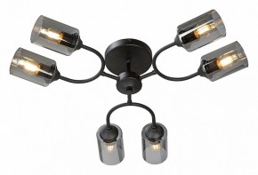 Потолочная люстра Vitaluce V2823 V2823-1/6PL в Лабытнанги - labytnangi.ok-mebel.com | фото 2