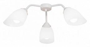 Потолочная люстра Vitaluce V31950 V31950/3PL в Лабытнанги - labytnangi.ok-mebel.com | фото