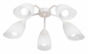 Потолочная люстра Vitaluce V31950 V31950/5PL в Лабытнанги - labytnangi.ok-mebel.com | фото
