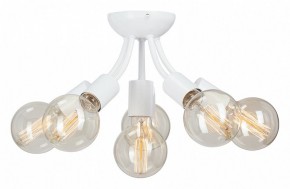 Потолочная люстра Vitaluce V3927 V3927-0/6PL в Лабытнанги - labytnangi.ok-mebel.com | фото
