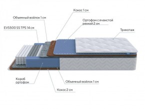 PROxSON Матрас Active Duo M/F (Ткань Трикотаж Эко) 120x190 в Лабытнанги - labytnangi.ok-mebel.com | фото 6