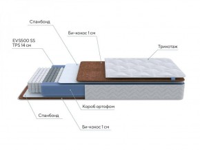 PROxSON Матрас Active F (Ткань Трикотаж Эко) 120x200 в Лабытнанги - labytnangi.ok-mebel.com | фото 6