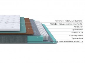 PROxSON Матрас Grace Firm (Трикотаж Prestige Latte) 120x200 в Лабытнанги - labytnangi.ok-mebel.com | фото 2