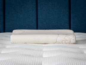 PROxSON Подушка Кроха (Ткань Трикотаж) 39x24 в Лабытнанги - labytnangi.ok-mebel.com | фото 6