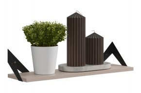 РИЧ Полка навесная в Лабытнанги - labytnangi.ok-mebel.com | фото 3