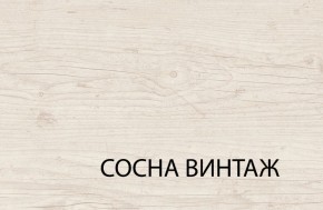 Шкаф 3DG2S, MAGELLAN, цвет Сосна винтаж в Лабытнанги - labytnangi.ok-mebel.com | фото 6