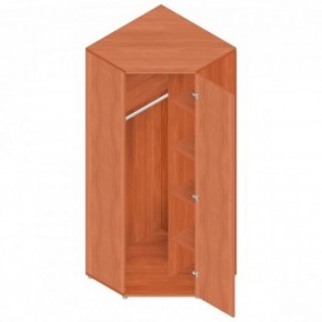 Шкаф для одежды "Референт" Р.Ш-10 в Лабытнанги - labytnangi.ok-mebel.com | фото 1
