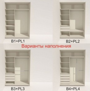 Шкаф-купе 1400 серии SOFT D8+D2+B2+PL4 (2 ящика+F обр.штанга) профиль «Графит» в Лабытнанги - labytnangi.ok-mebel.com | фото 6