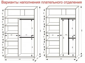 Шкаф-купе 1400 серии SOFT D8+D2+B2+PL4 (2 ящика+F обр.штанга) профиль «Графит» в Лабытнанги - labytnangi.ok-mebel.com | фото 7