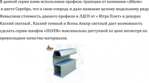 Шкаф-купе 2250 серии SILVER S3+S1+S3Z B22+PL2 (по 2 ящика лев/прав+1штанга+1 полка) профиль «Серебро» в Лабытнанги - labytnangi.ok-mebel.com | фото 4