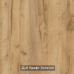 Шкаф купе без зеркала "Ольга-Лофт 10.1" в Лабытнанги - labytnangi.ok-mebel.com | фото 5
