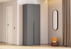 Шкаф платяной Даиго в Лабытнанги - labytnangi.ok-mebel.com | фото 3
