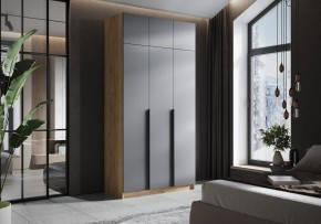 Шкаф платяной Широн в Лабытнанги - labytnangi.ok-mebel.com | фото 4