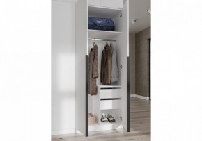 Шкаф платяной Широн в Лабытнанги - labytnangi.ok-mebel.com | фото 3