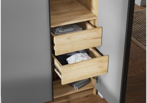 Шкаф платяной Широн в Лабытнанги - labytnangi.ok-mebel.com | фото 3