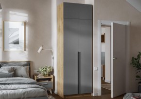 Шкаф платяной Широн в Лабытнанги - labytnangi.ok-mebel.com | фото 4
