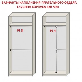 Шкаф распашной серия «ЗЕВС» (PL3/С1/PL2) в Лабытнанги - labytnangi.ok-mebel.com | фото 10