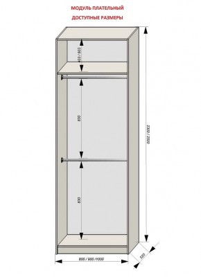 Шкаф распашной серия «ЗЕВС» (PL3/С1/PL2) в Лабытнанги - labytnangi.ok-mebel.com | фото 12