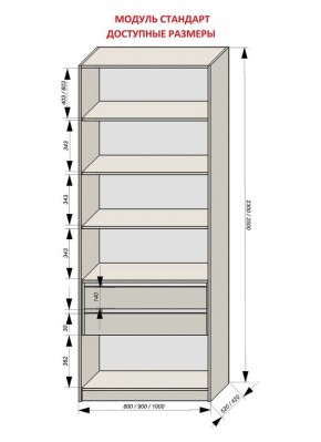 Шкаф распашной серия «ЗЕВС» (PL3/С1/PL2) в Лабытнанги - labytnangi.ok-mebel.com | фото 13