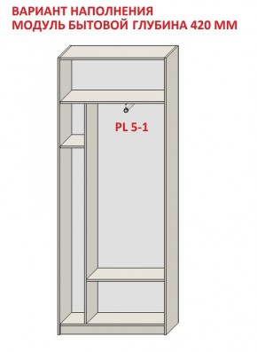 Шкаф распашной серия «ЗЕВС» (PL3/С1/PL2) в Лабытнанги - labytnangi.ok-mebel.com | фото 4