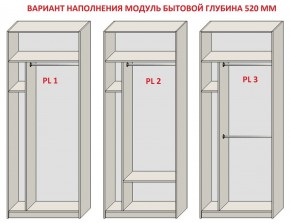 Шкаф распашной серия «ЗЕВС» (PL3/С1/PL2) Серый камень/Небраска натуральный в Лабытнанги - labytnangi.ok-mebel.com | фото 5