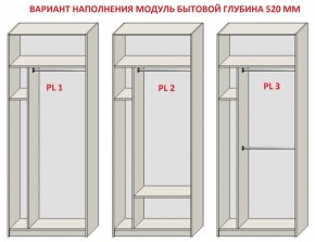 Шкаф распашной серия «ЗЕВС» (PL3/С1/PL2) в Лабытнанги - labytnangi.ok-mebel.com | фото 5