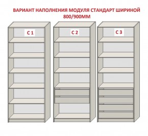 Шкаф распашной серия «ЗЕВС» (PL3/С1/PL2) в Лабытнанги - labytnangi.ok-mebel.com | фото 6