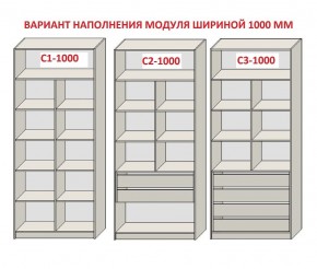 Шкаф распашной серия «ЗЕВС» (PL3/С1/PL2) Серый камень/Небраска натуральный в Лабытнанги - labytnangi.ok-mebel.com | фото 7