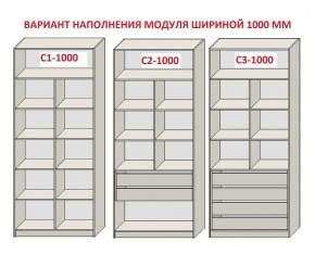 Шкаф распашной серия «ЗЕВС» (PL3/С1/PL2) в Лабытнанги - labytnangi.ok-mebel.com | фото 7