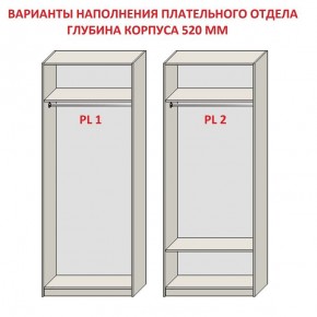 Шкаф распашной серия «ЗЕВС» (PL3/С1/PL2) в Лабытнанги - labytnangi.ok-mebel.com | фото 9