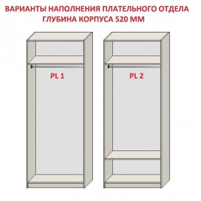 Шкаф распашной серия «ЗЕВС» (PL3/С1/PL2) Серый камень/Небраска натуральный в Лабытнанги - labytnangi.ok-mebel.com | фото 9