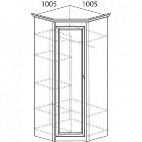 Шкаф угловой №662 "Флоренция" Фасад глухой (угол 1005*1005) Дуб оксфорд в Лабытнанги - labytnangi.ok-mebel.com | фото 3