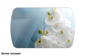 Стол Бостон 900*600 (опоры Брифинг) Стекло/фотопечать Белая Орхидея в Лабытнанги - labytnangi.ok-mebel.com | фото