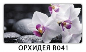 Стол раздвижной Трилогия с фотопечатью Орхидея R041 в Лабытнанги - labytnangi.ok-mebel.com | фото 9