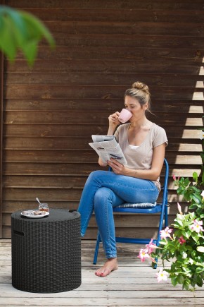 Столик-холодильник Кул-Стул (Cool stool) графит в Лабытнанги - labytnangi.ok-mebel.com | фото