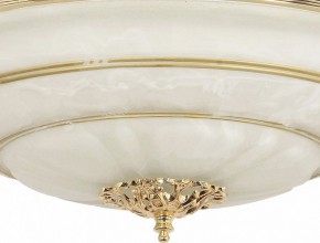 Светильник на штанге Arti Lampadari Pavia Pavia E 1.13.P40 G в Лабытнанги - labytnangi.ok-mebel.com | фото 3