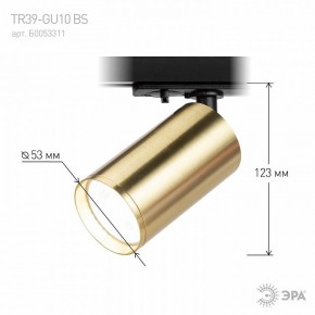 Светильник на штанге Эра  TR39-GU10 BS в Лабытнанги - labytnangi.ok-mebel.com | фото 6