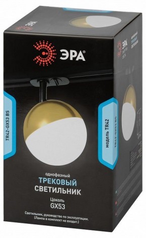 Светильник на штанге Эра  TR42-GX53 BS в Лабытнанги - labytnangi.ok-mebel.com | фото 6