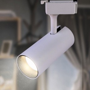 Светильник на штанге Эра  TR5-10 COB WH в Лабытнанги - labytnangi.ok-mebel.com | фото 3