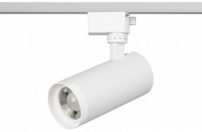 Светильник на штанге Эра  TR59 - 2040 WH в Лабытнанги - labytnangi.ok-mebel.com | фото 2