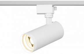 Светильник на штанге Эра  TR59 - 2040 WH в Лабытнанги - labytnangi.ok-mebel.com | фото 5