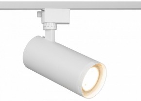Светильник на штанге Эра  TR59 - 3030 WH в Лабытнанги - labytnangi.ok-mebel.com | фото