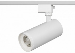 Светильник на штанге Эра  TR59 - 3030 WH в Лабытнанги - labytnangi.ok-mebel.com | фото 2