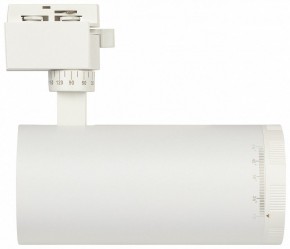 Светильник на штанге Эра  TR59 - 3030 WH в Лабытнанги - labytnangi.ok-mebel.com | фото 4