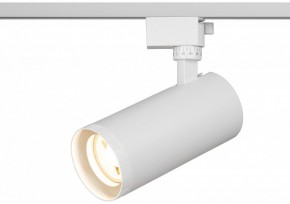 Светильник на штанге Эра  TR59 - 3030 WH в Лабытнанги - labytnangi.ok-mebel.com | фото 5