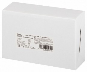 Светильник на штанге Эра  TRM-S5-3-12W4K-BK в Лабытнанги - labytnangi.ok-mebel.com | фото 8