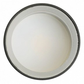 Светильник на штанге Feron ML1001 51371 в Лабытнанги - labytnangi.ok-mebel.com | фото 4
