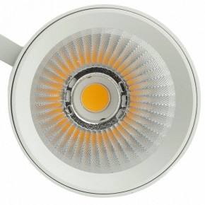 Светильник на штанге Feron TR Reflex 52058 в Лабытнанги - labytnangi.ok-mebel.com | фото 12