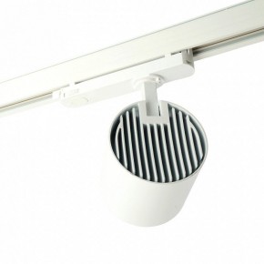 Светильник на штанге Feron TR Reflex 52058 в Лабытнанги - labytnangi.ok-mebel.com | фото 3