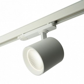 Светильник на штанге Feron TR Reflex 52058 в Лабытнанги - labytnangi.ok-mebel.com | фото 9
